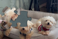 Custom Photo Puzzle - Personalized Memory Keepsake